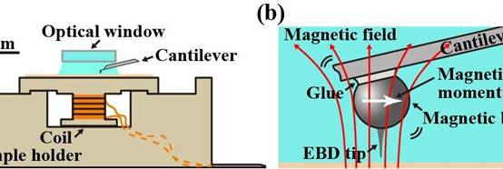High-sensitivity atomic force microscopy opens up for photosensitive materials